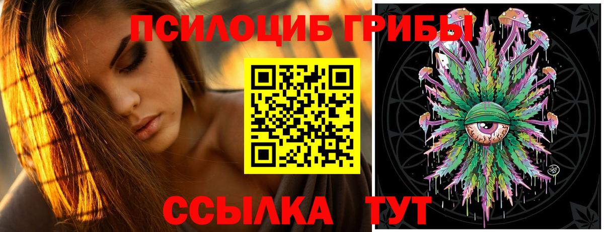 Псилоцибиновые грибы прущие грибы Десногорск
